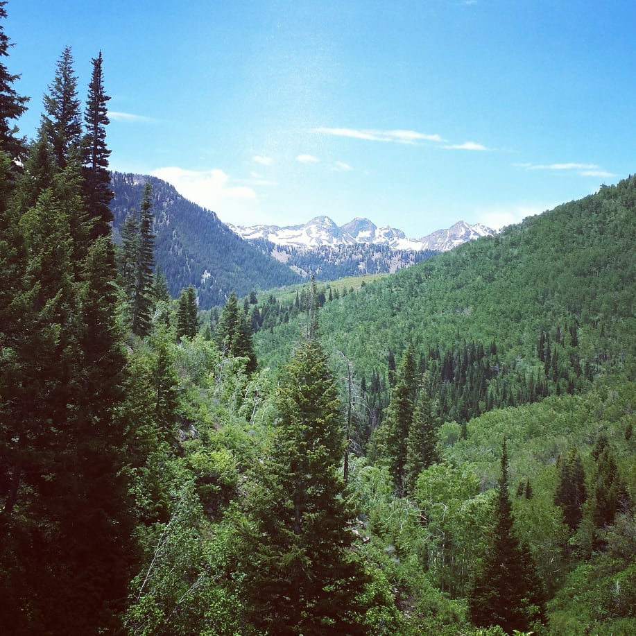 Yellowstone Creek, High Uintas