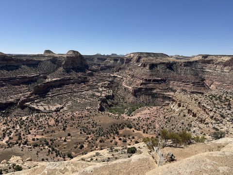 A deep red-rock canyon seen from its rim, layered cliffs stepping down to a green ribbon of river far below, under a cloudless blue sky.