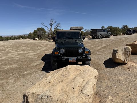 A dark green Jeep Wrangler with a tan soft top parked on a bare dirt overlook, a weathered juniper and two other vehicles behind it.