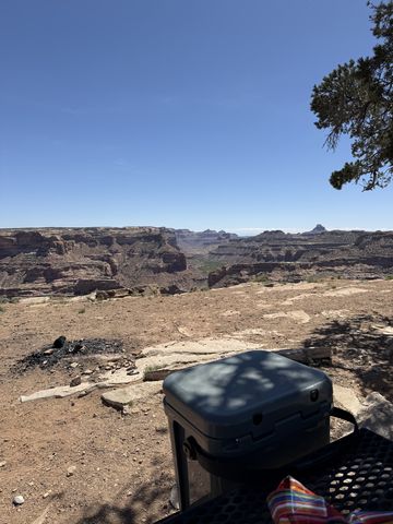 A cooler on a picnic table at a rim-side campsite, a juniper branch overhead and the canyon stretching away past a fire ring.