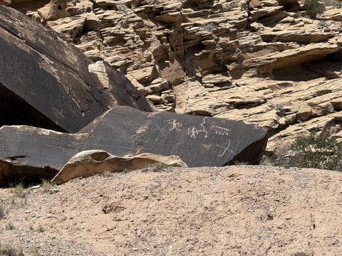 A dark fallen boulder at the base of a ledgy sandstone cliff, its face carved with light-colored petroglyph figures.