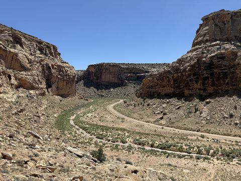 A dirt road curving through a narrow canyon between cliff walls, a green wash running alongside it.