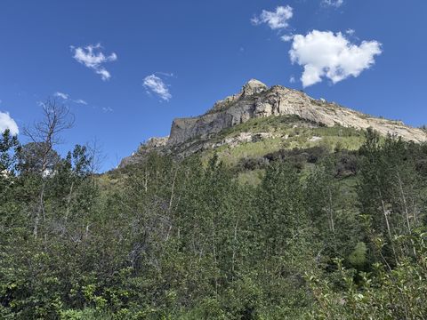 A pale rocky summit rising above a dense green slope of aspen and brush, under a deep blue sky with scattered white clouds.