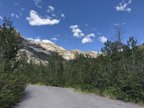 A narrow paved road ending in a turnaround, hemmed by young aspen, with a gray glacially carved ridgeline beyond.