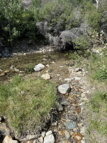 A shallow creek running over pale cobbles and gravel, edged by grass and willow, with a fallen bare branch overhanging the water.