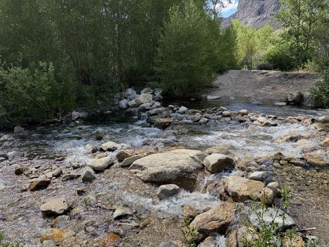 Whitewater breaking around boulders in a fast, wide creek, with willows on both banks and a dark rock face in the distance.