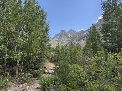 A rocky footpath leading up a canyon between stands of aspen toward a jagged gray peak.