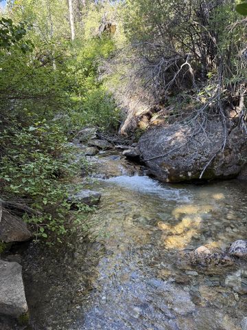 A shaded creek running clear over a golden gravel bottom, boxed in by a large streamside boulder and overhanging brush.