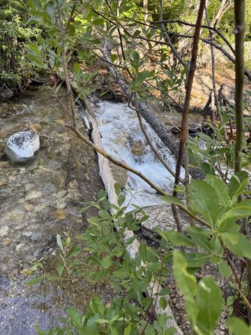 Water rushing white down a rock chute, seen through a screen of leafy branches in the foreground.