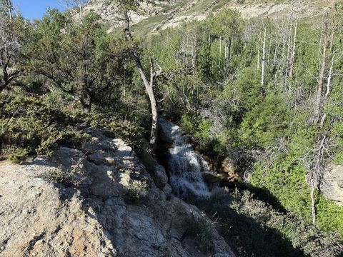 A small waterfall spilling down a bedrock step beside a bare dead tree, with green mountainside rising behind.