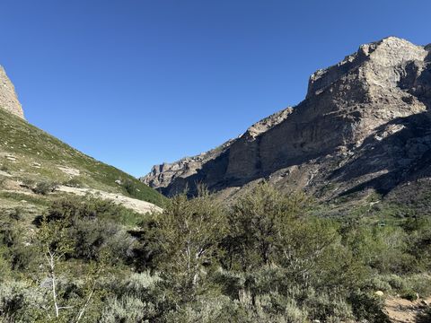 A U-shaped glacial canyon opening between two rock walls, its floor covered in green brush and scattered aspen.