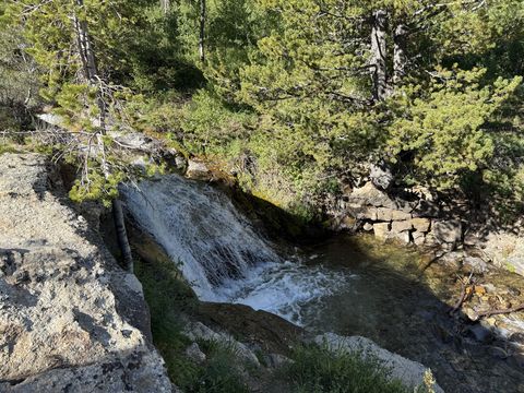 A waterfall pouring over a low rock lip into a shaded pool, ringed by pines and a stacked-rock bank.