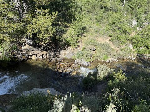 Looking down at the pool below the falls, with a low stone retaining wall along the far bank and pines leaning over the water.