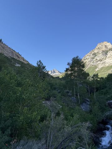 A distant spired peak framed at the head of a shaded canyon, seen over green brush and aspen in the foreground.