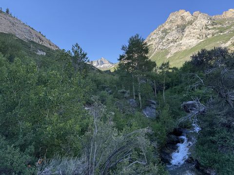 Morning shadow across a canyon: dark brushy slope on the left, sunlit gray cliffs on the right, and whitewater in the lower corner.