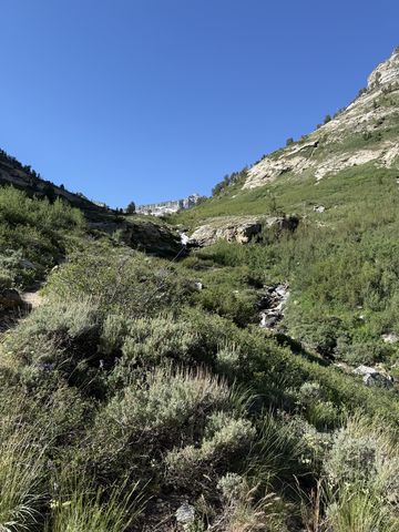 A thin stream falling down a grassy, sage-covered slope from a rocky outcrop high above, under clear blue sky.