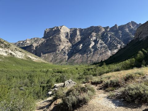 A broad glacial canyon with a green valley floor and a long buttressed wall of gray rock along its far side.