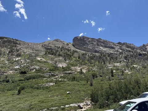 A pale granite ridge dotted with scattered conifers above a green meadow, with the white roof of a parked car in the corner.