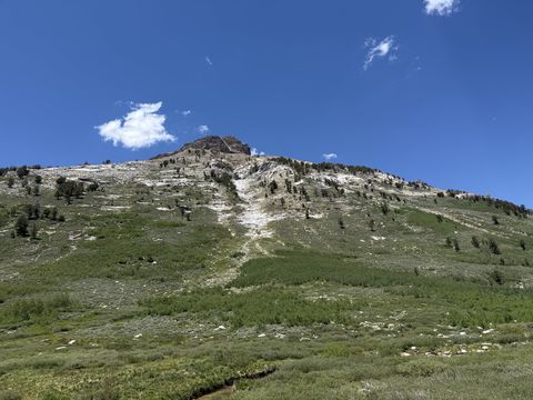 A rounded rocky summit above an open sweep of light granite and scattered pines, deep blue sky overhead.