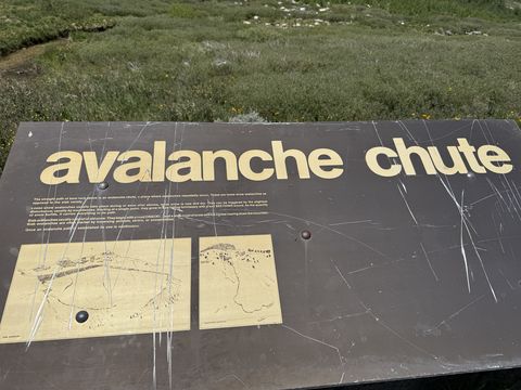 A scratched brown interpretive sign titled "Avalanche Chute" with two illustrated diagrams, standing in a meadow.