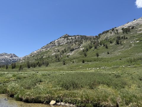 A grassy valley floor below a long timbered ridge, with a patch of snow lingering on a shaded peak at far left.
