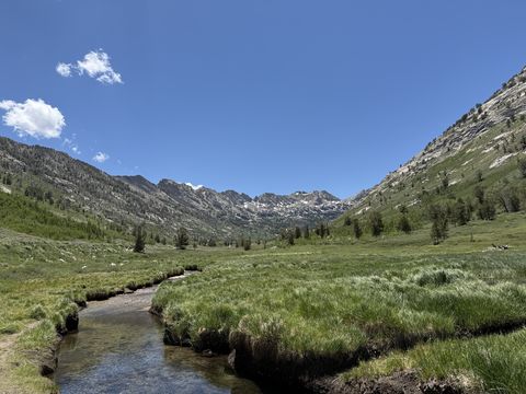 A meandering meadow stream cut into thick grass, leading the eye toward a jagged snow-flecked headwall under a few white clouds.