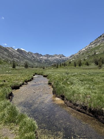 A shallow stream running straight through a green alpine meadow toward the rocky peaks at the canyon head.