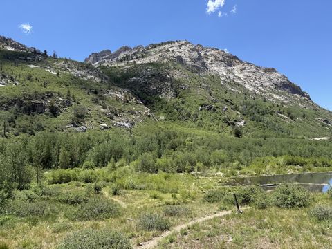 A green mountainside topped with banded gray cliffs, above a marshy flat and the edge of the lake at right.