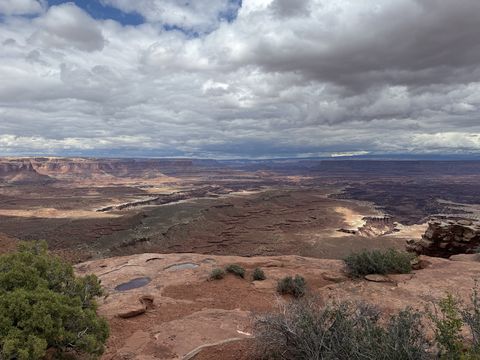 A wide canyon seen from the Island in the Sky rim, its benches falling away in steps to a green wash, potholes of rainwater in the slickrock in front.
