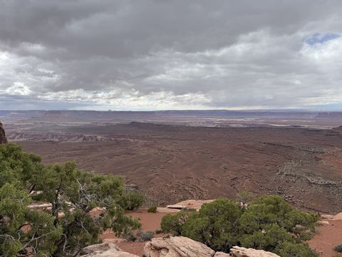 A dark, storm-lit basin stretching to a flat horizon, junipers clinging to the rim rock in the foreground.