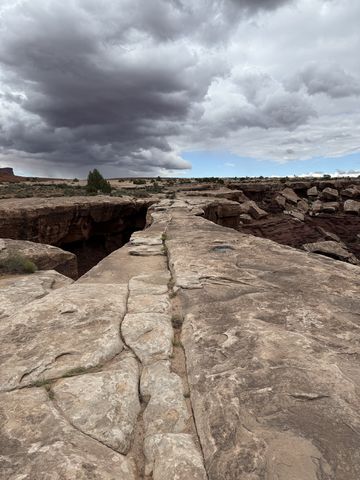 The flat sandstone deck of Musselman Arch, wide enough to walk across, with a dark void dropping away on the left and the canyon on the right.