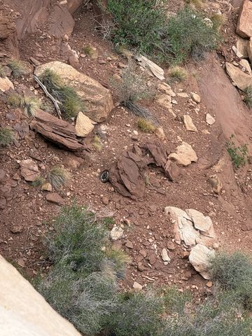 Looking straight down a steep talus slope of broken red rock and brush, a lost barbell weight lying among the boulders.