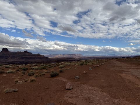 A dirt two-track crossing a wide desert flat, a dark butte at the left and a long line of cliffs on the horizon.