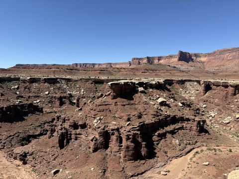 A canyon of stubby red towers and ledges below the White Rim, with mesas and buttes ranked along the skyline.