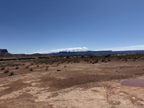 A muddy pothole in the slickrock at the edge of a desert flat, a snow-capped mountain range low on the horizon.