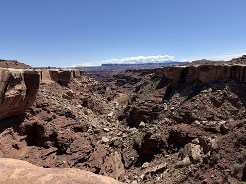 A rugged side canyon dropping away from the White Rim, its walls broken into ledges, distant mesas beyond.