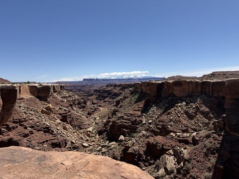 A rough side canyon full of red ledges and boulders, with a flat white-capped mesa on the far horizon.