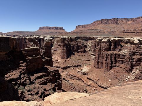 The fluted red spires of Monument Basin standing below the White Rim, with flat-topped mesas on the skyline beyond.