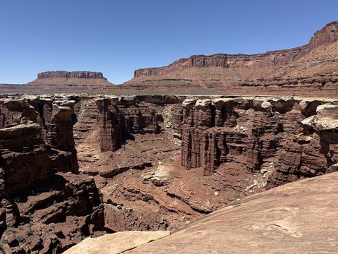 A cluster of tall, deeply fluted rock towers rising from the floor of Monument Basin, the White Rim bench running behind them.