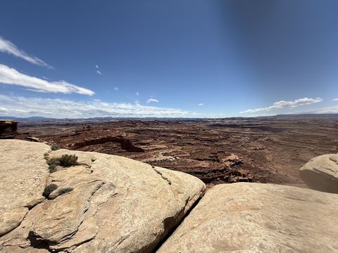 Cracked white slickrock and a small sagebrush at the canyon edge, a vast open basin below.