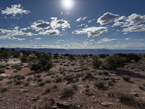 Afternoon sun over a sagebrush flat scattered with juniper, a low line of cliffs on the horizon.