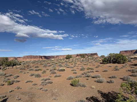 A low, even line of red cliffs behind a wide flat of pale desert grass and scattered brush.