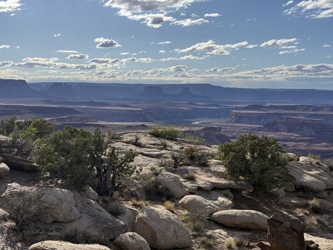 A juniper-studded rim above a wide canyon, buttes standing along the skyline in the afternoon haze.