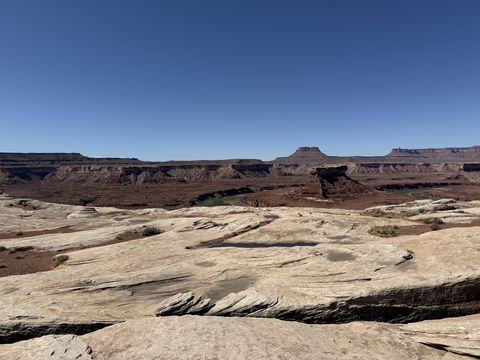 A wide pavement of pale slickrock with shallow potholes, red buttes standing across the flat beyond.