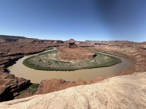 A tight horseshoe bend of the Green River wrapped around a low green island, the muddy water enclosing it almost completely.