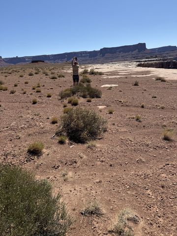 A person standing alone on a wide desert flat photographing the cliffs, sparse brush all around.